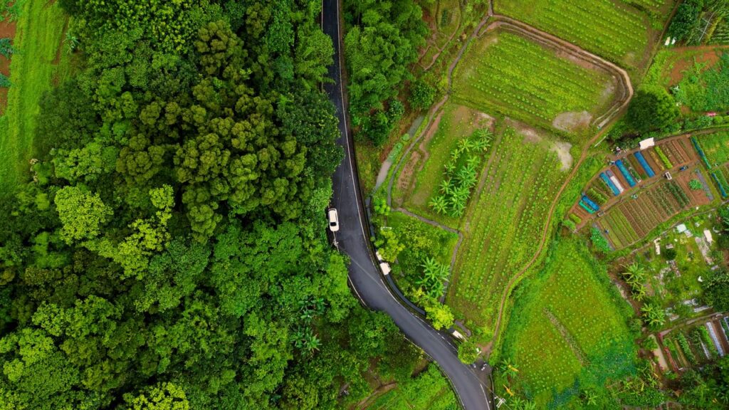 Aerial view of a vibrant green landscape featuring a forest, fields, and winding road, showcasing natural beauty.