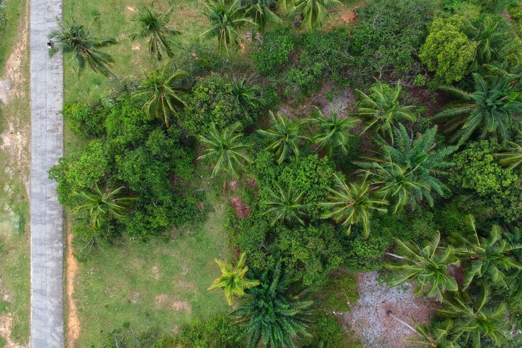 Terrain à vendre à douala